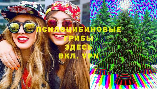 а пвп мука Абаза